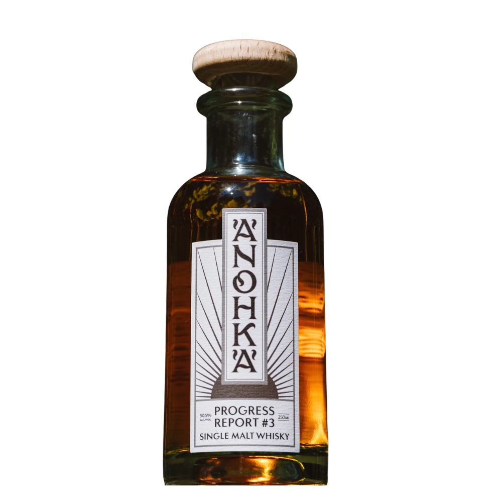 Anohka Progress report #3 (250ML)