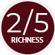 Rich – 2